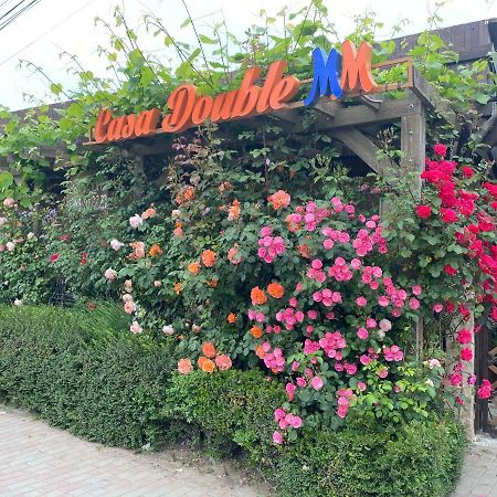 Hotel Casa Double M à Vama Veche Extérieur photo